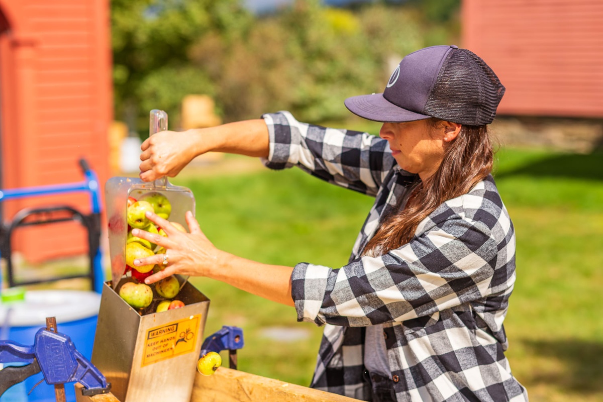 Crushing apples.